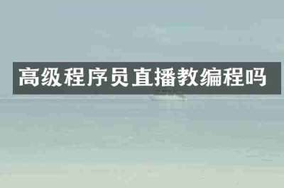 高级程序员直播教编程吗