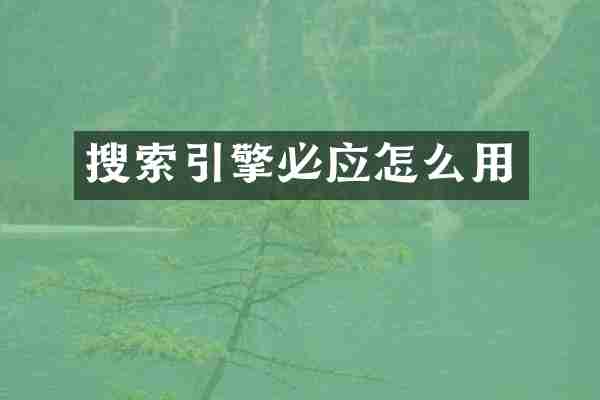 搜索引擎必应怎么用