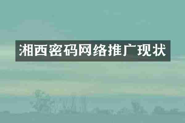 湘西密码网络推广现状