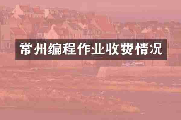 常州编程作业收费情况