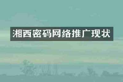 湘西密码网络推广现状