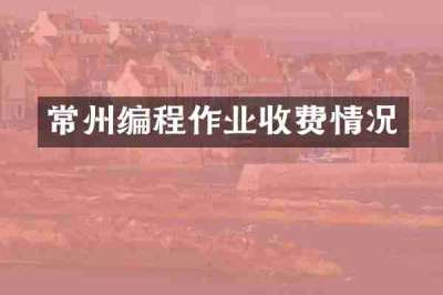 常州编程作业收费情况