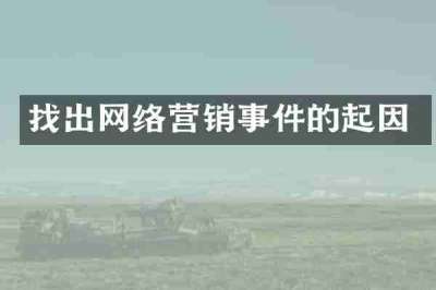 找出网络营销事件的起因