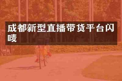 成都新型直播带货平台闪唛