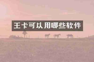 王卡可以用哪些软件