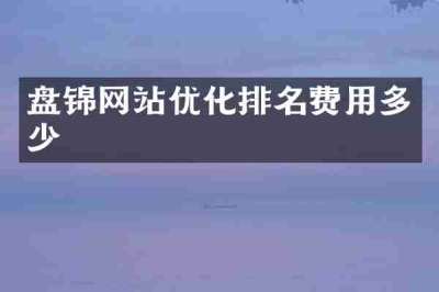 盘锦网站优化排名费用多少