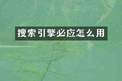 搜索引擎必应怎么用