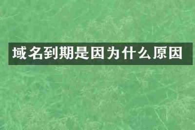 域名到期是因为什么原因