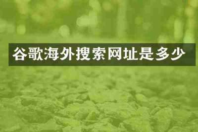 谷歌海外搜索网址是多少