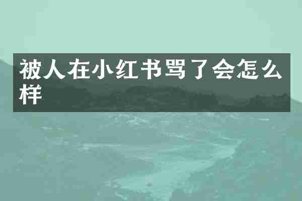 被人在小红书骂了会怎么样