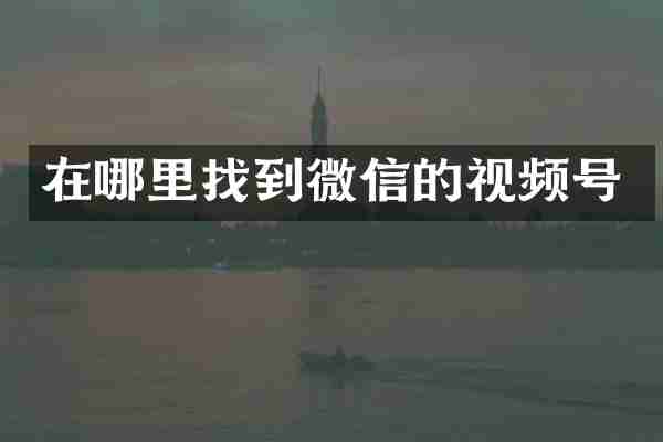 在哪里找到微信的视频号