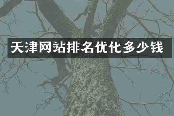 天津网站排名优化多少钱