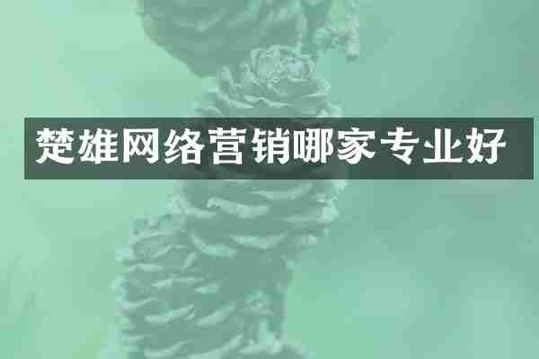 楚雄网络营销哪家专业好