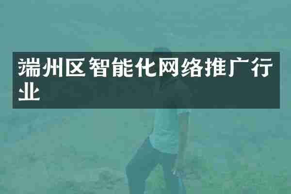 端州区智能化网络推广行业
