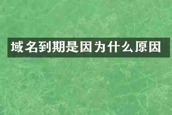 域名到期是因为什么原因