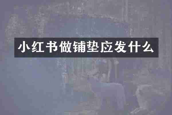 小红书做铺垫应发什么