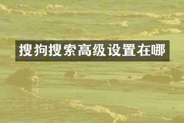 搜狗搜索高级设置在哪