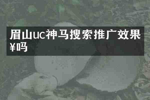 眉山uc神马搜索推广效果好吗