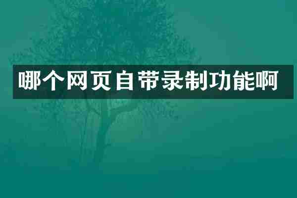 哪个网页自带录制功能啊