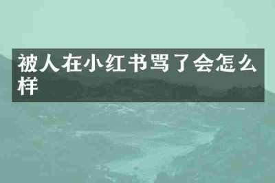 被人在小红书骂了会怎么样