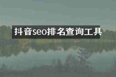 抖音seo排名查询工具
