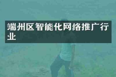 端州区智能化网络推广行业