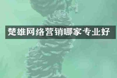 楚雄网络营销哪家专业好
