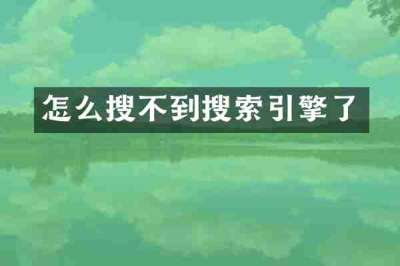 怎么搜不到搜索引擎了