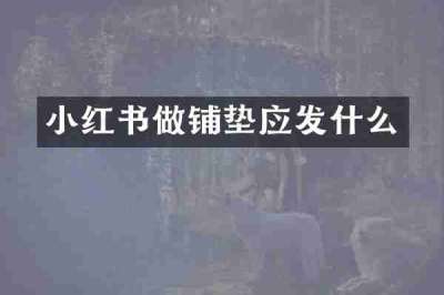 小红书做铺垫应发什么
