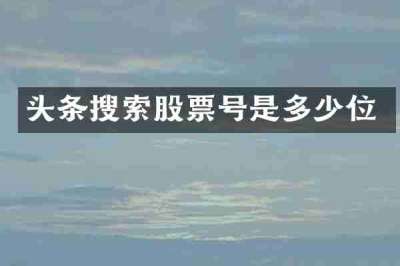 头条搜索股票号是多少位