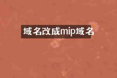 域名改成mip域名