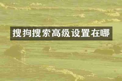 搜狗搜索高级设置在哪