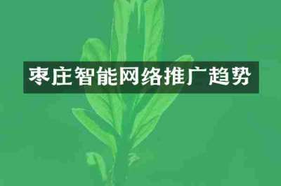 枣庄智能网络推广趋势