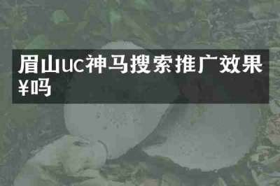 眉山uc神马搜索推广效果好吗