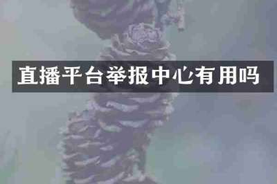 直播平台举报中心有用吗
