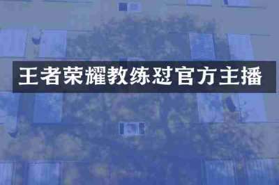 王者荣耀教练怼官方主播