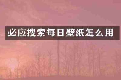必应搜索每日壁纸怎么用