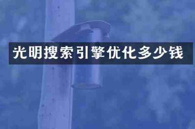 光明搜索引擎优化多少钱