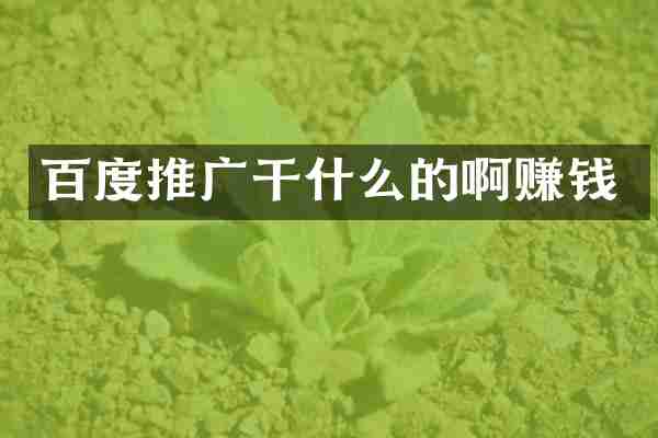 百度推广干什么的啊赚钱