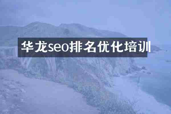 华龙seo排名优化培训