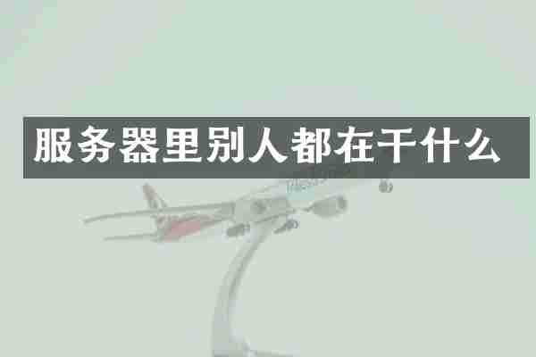 服务器里别人都在干什么