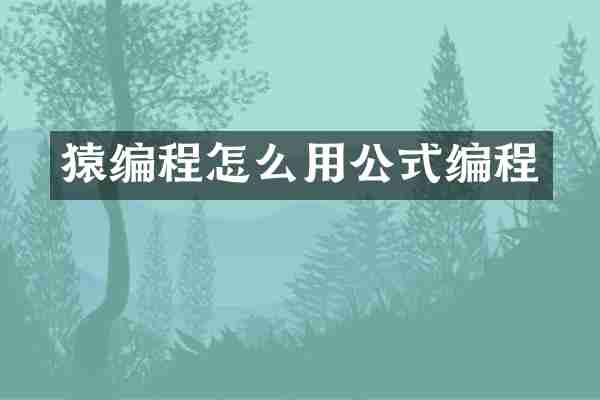 猿编程怎么用公式编程