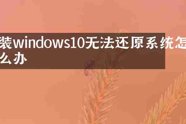 装windows10无法还原系统怎么办