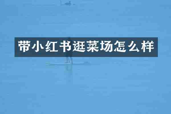 带小红书逛菜场怎么样