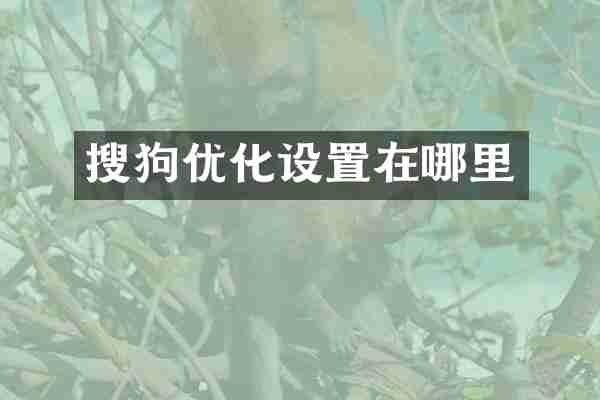 搜狗优化设置在哪里