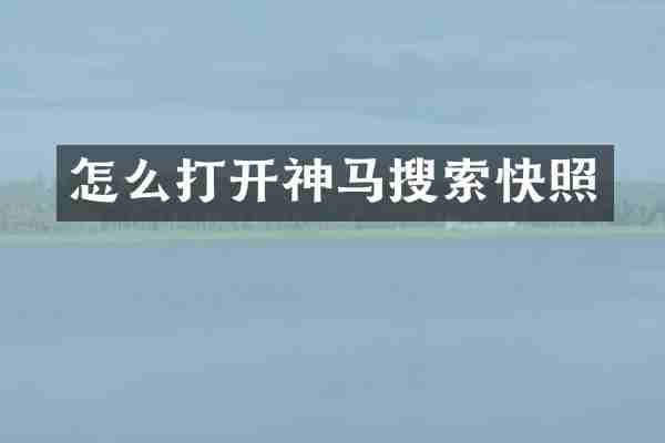 怎么打开神马搜索快照