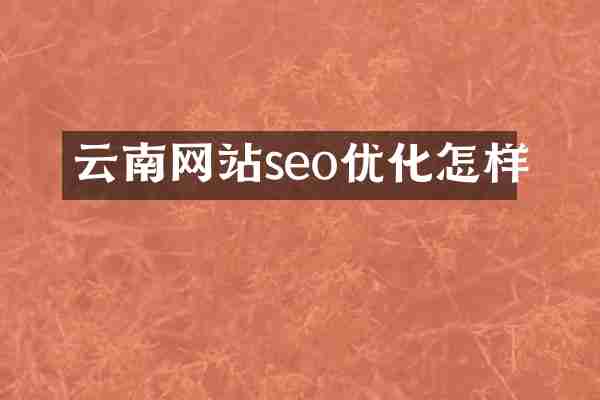 云南网站seo优化怎样