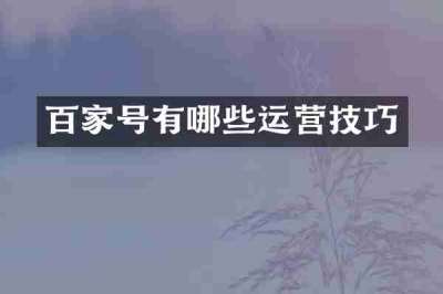 百家号有哪些运营技巧