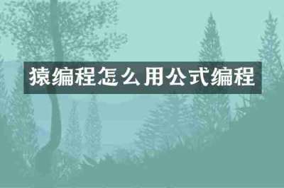 猿编程怎么用公式编程