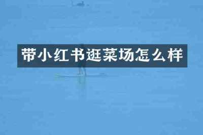 带小红书逛菜场怎么样